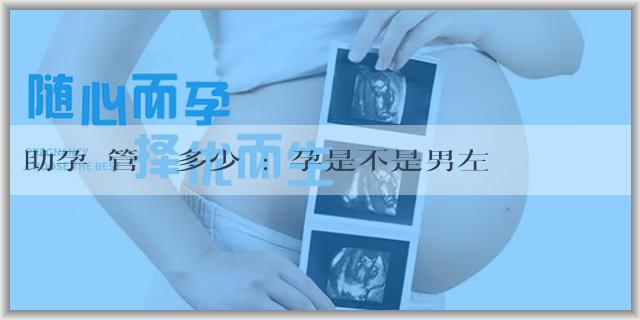 助孕試管嬰兒多少錢:懷孕是不是男左女右脈？男左女右脈象看男女準不準？