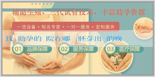 找個助孕的醫院在哪裏:胚芽出現的晚多是女孩嗎？胚芽出現的晚多是女孩科學嗎？